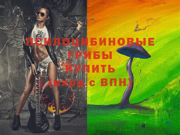 мдпв Балахна