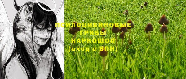мдпв Балахна
