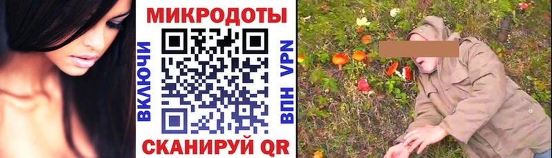 закладка  Новый Уренгой  Галлюциногенные грибы Psilocybe 